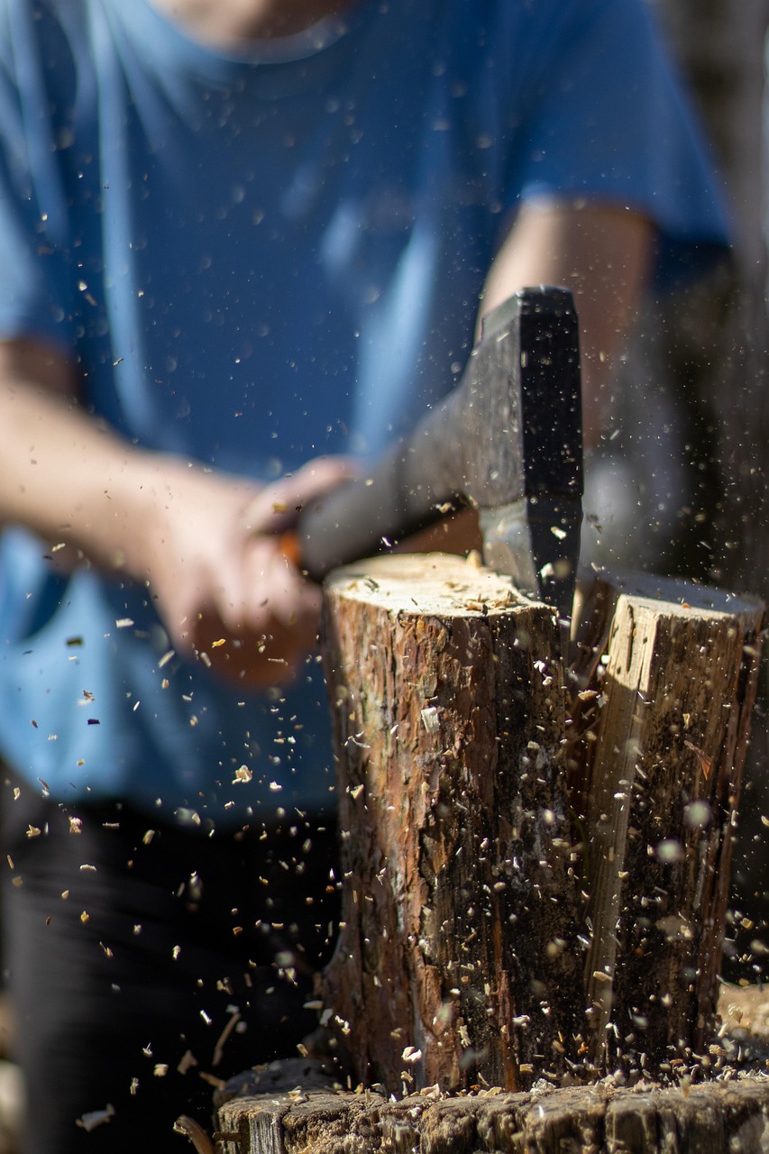 Forestry Accident Claims for Compensation
