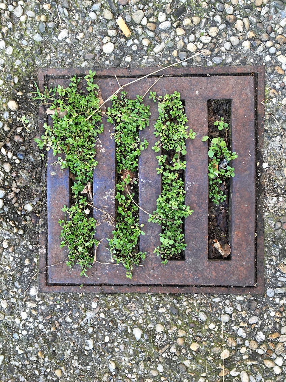 Manhole and Drain Cover Accidents Compensation Claims