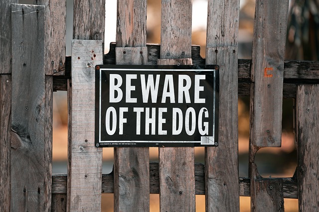 Animal Injury Compensation Claims