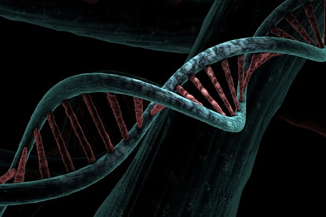 DNA Testing in Contentious Probate Claims