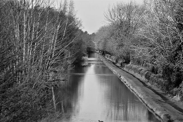 Canal Towpath Accidents: What Counts As Negligence?