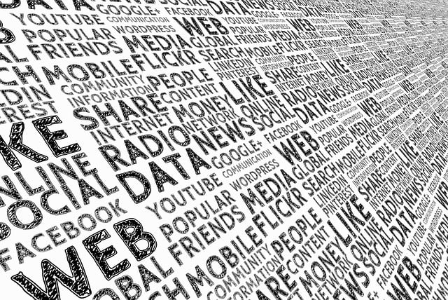 Social Media Evidence in Probate Disputes
