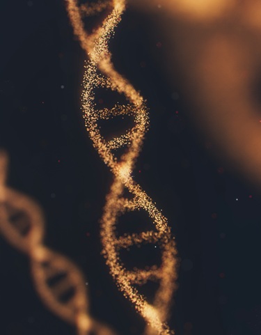 The Contentious Probate Impact of Home Testing Kits