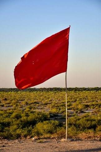 How Families Can Spot Red Flags Early in Will Disputes