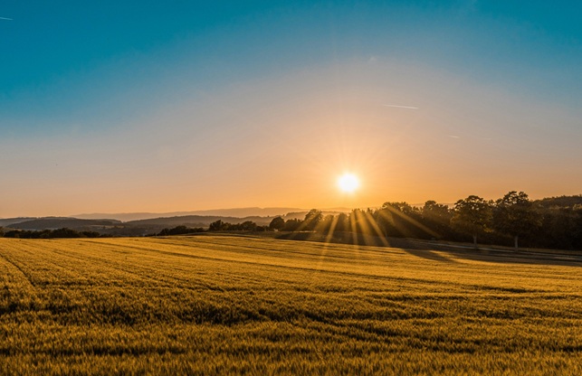 Promised the Family Farm? How To Contest a Will